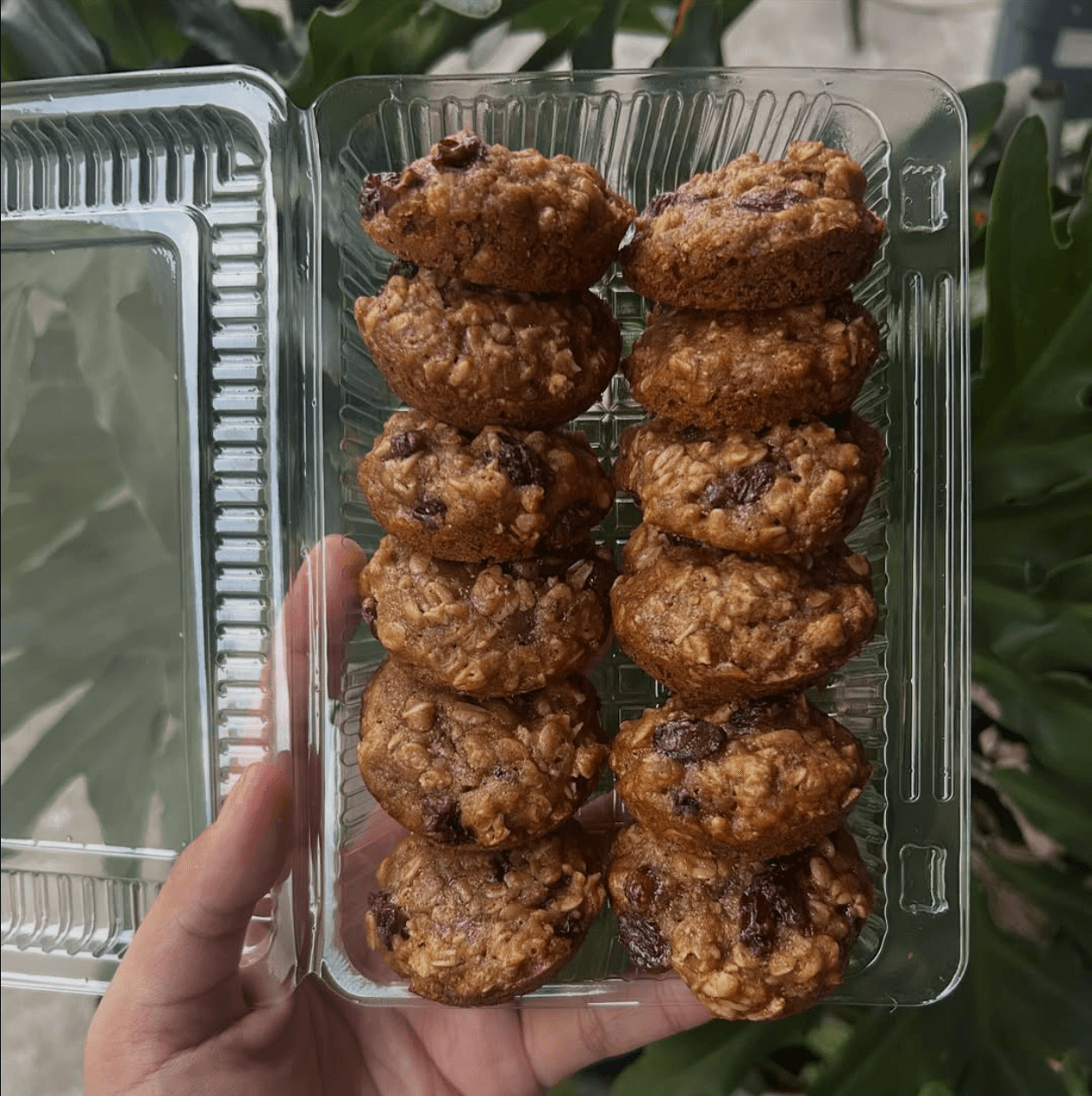 Oatmeal Raisin Cookies